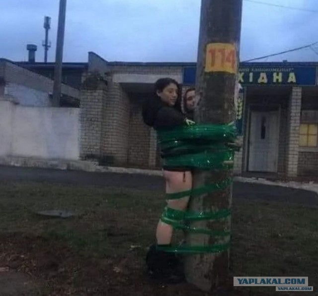 Киевский канибализм.