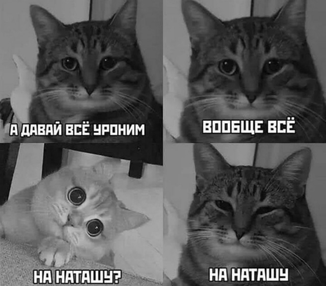 Баянисто-небаянистый юмор 7.04.22
