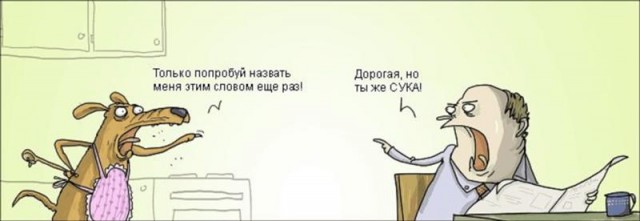 Вообще-то, мне гораздо больше хотелось бы иметь собаку, чем жену. (Малыш)