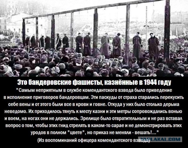 Крик о помощи от морских пехотинцев из 36 бригады.Их кинули, а боекомплект предлагают добывать в бою