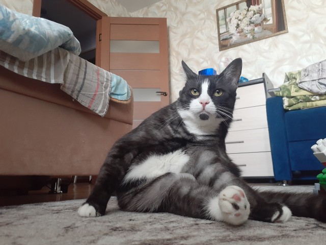 Виды хоба