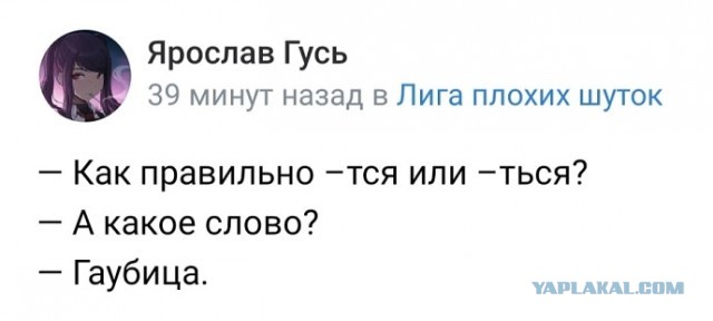КартNнки всякие развлекательные с надписями, но в основном без
