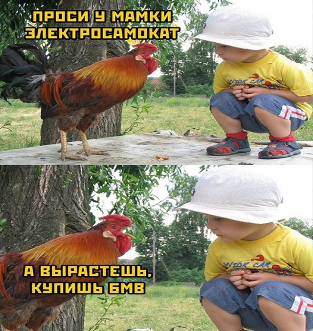 Картинки и мемы для настроения - 19