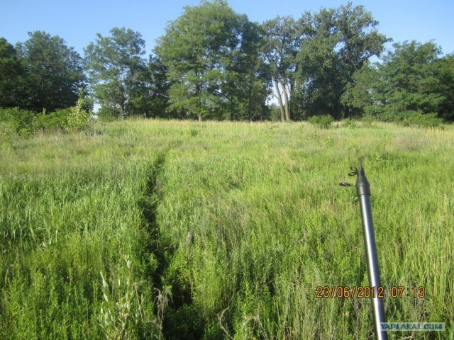 Утреняя рыбалка