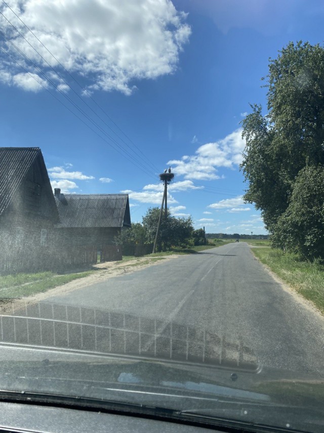 Моя поездка по Беларуси: Минск-Нарочь-Гродно-Брест-Барановичи-Несвиж