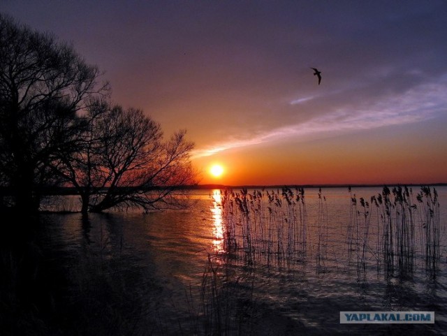 Я просто люблю Беларусь :)