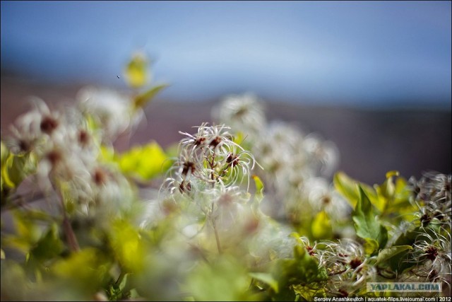 Заброшенный флюсовый карьер в Балаклаве