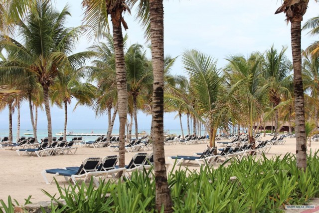 Поездка в Мексику (за деньги)