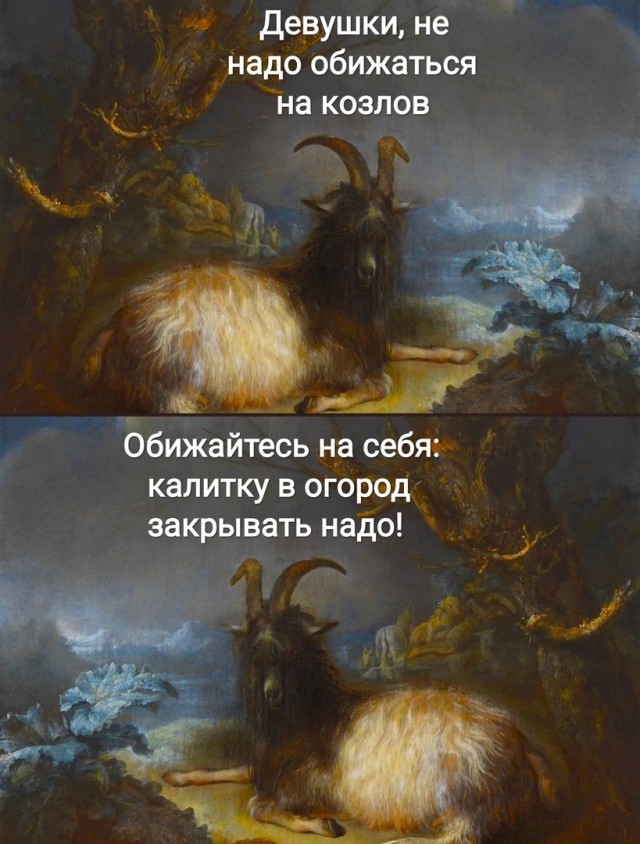 Так себе картинки 27.11.22