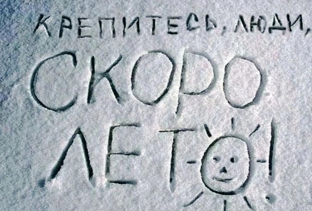 Чуток картинок 22.01.23