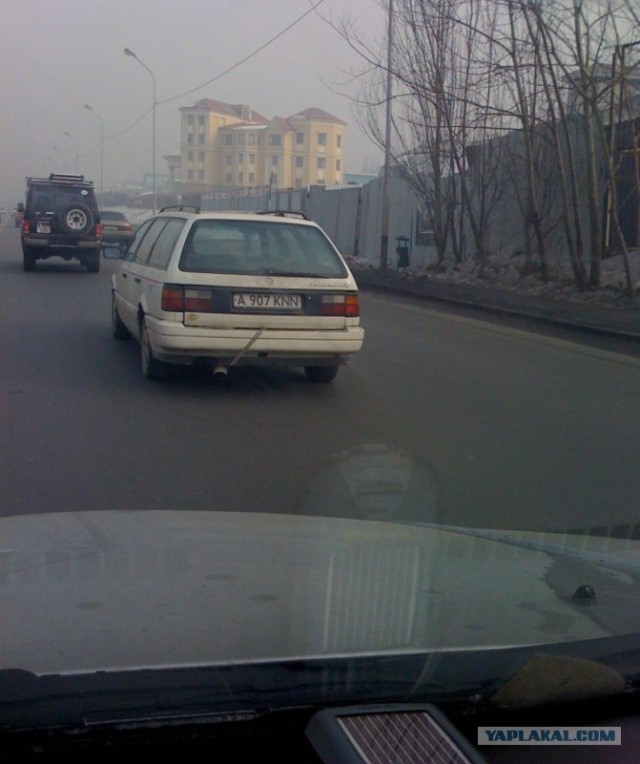 Приколы из Казахстана