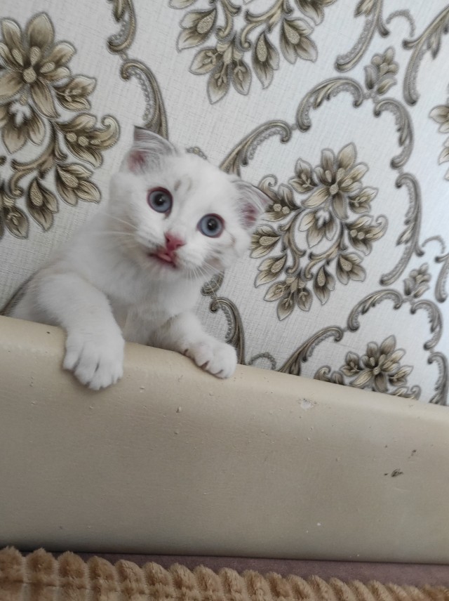 Прогнать бессонницу