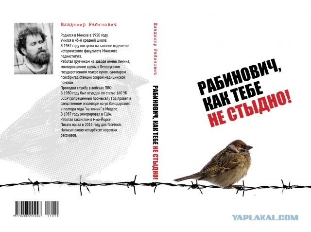 Рассказ Рабиновича о том, как он служил в компьютерных войсках