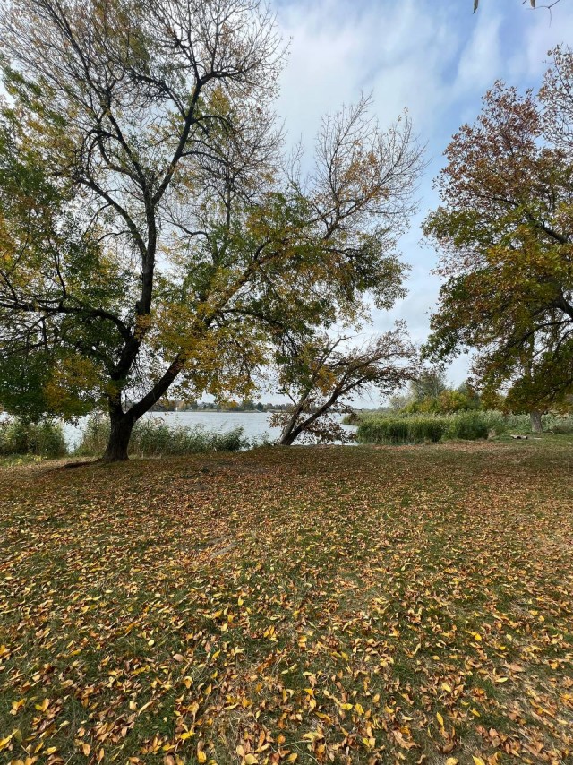 Лучше, чем дома сидеть.