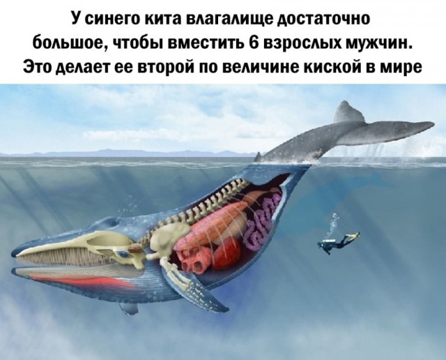 Так себе картинки 16.10.23