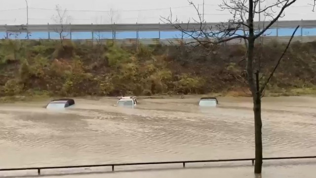 Химия и жизнь