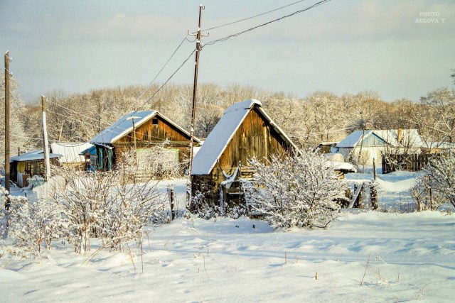 Каникулы в деревне