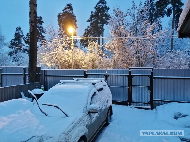 Зимняя красота