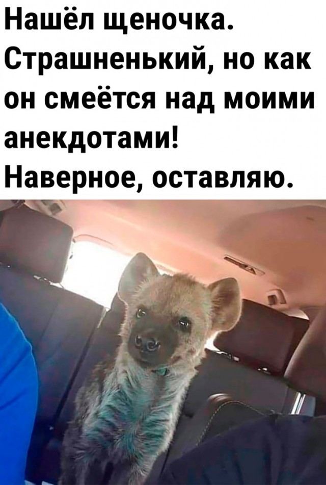 Так себе картинки 27.12.23