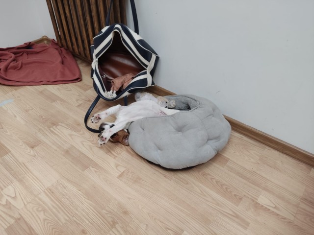 Пополнение