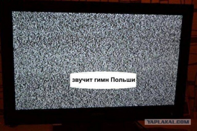 Шеврон