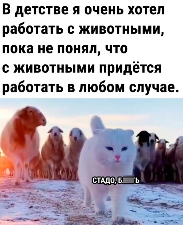 Завалялось тут случайно немного забавных картинок