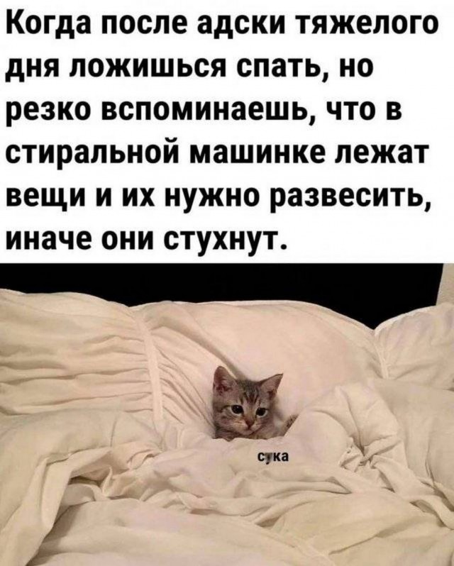 Юмор в картинках и без