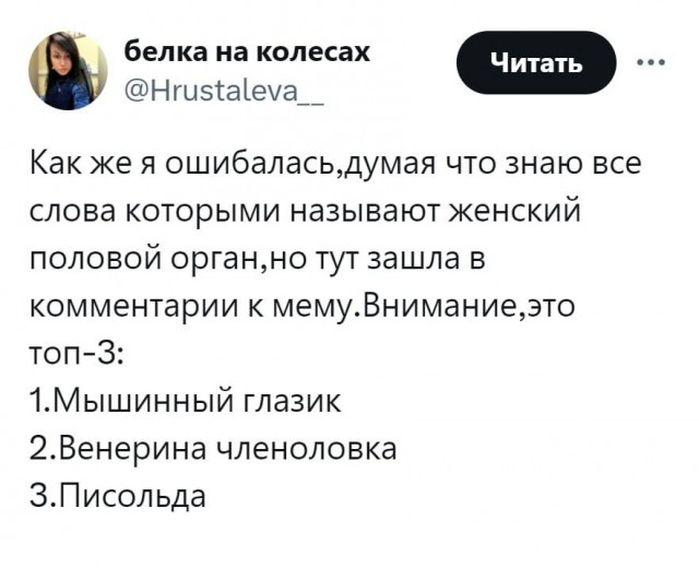 Какой богатый лексикон однако .