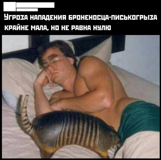 Так себе картинки 22.11.24