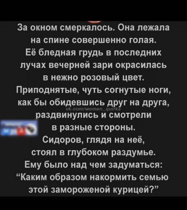 Немного забавных картинок от 22.12.24