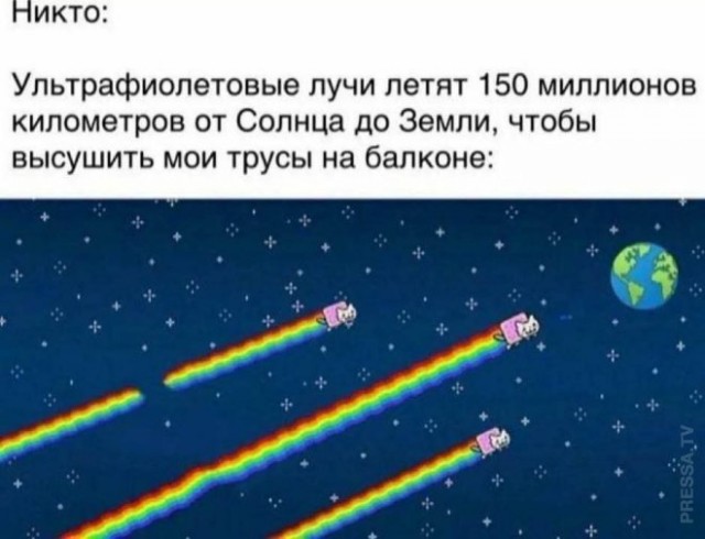Веселые картинки в пятницу (14.02)