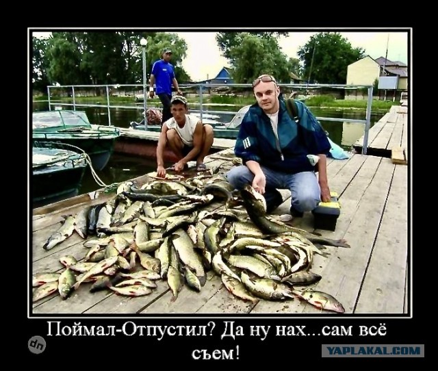 Рыбалка с братом на р.Ока