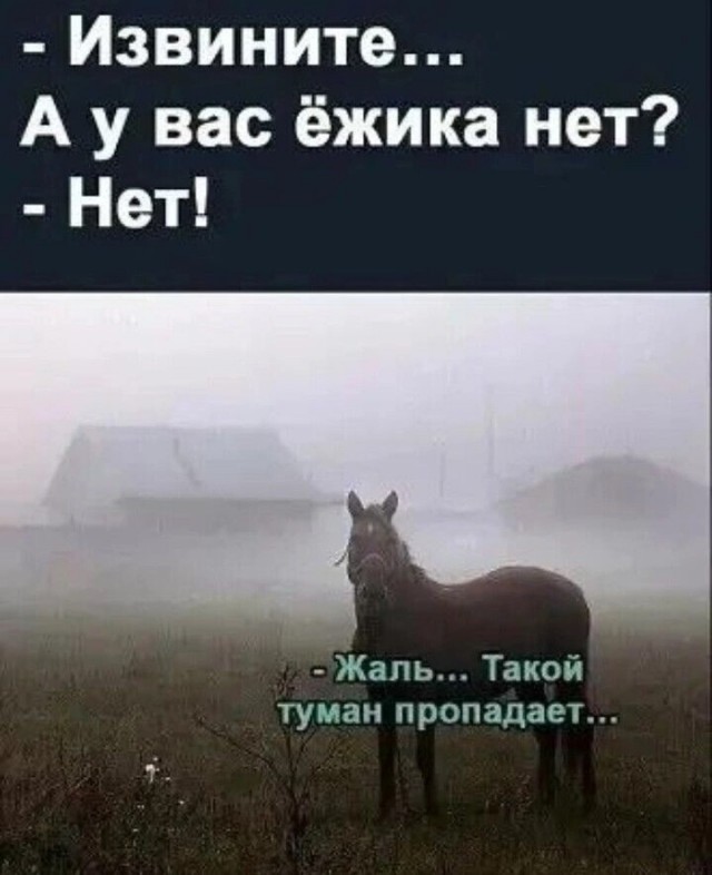 Прикольные и просто красивые картинки 06.05.2025