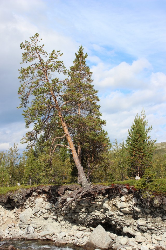Хибины, 2012