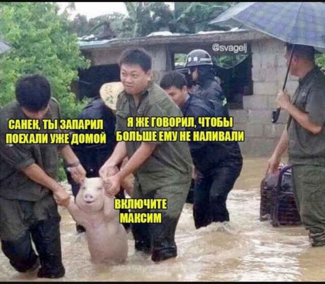 Интернет мемы на утро субботы