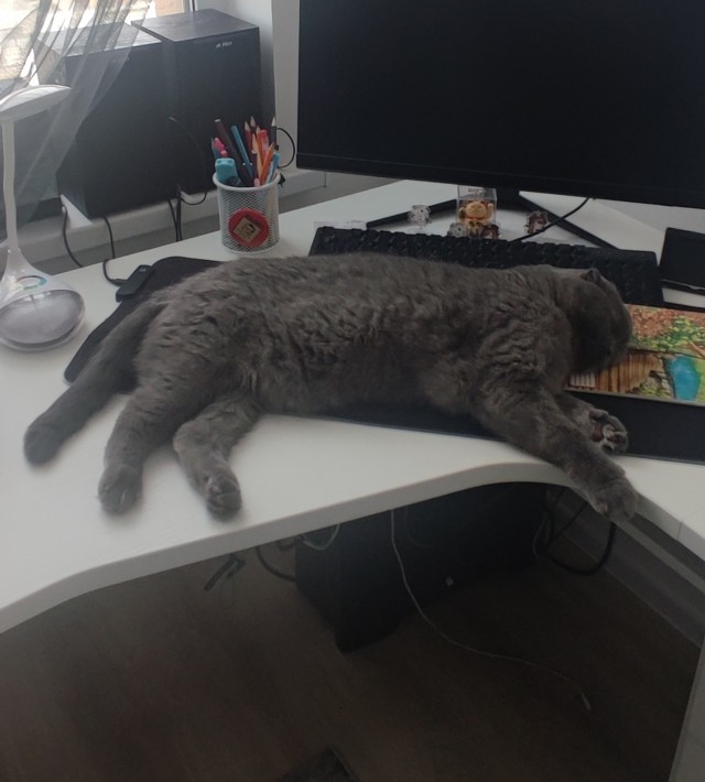 Когда ты домашняя бусинка, а другие это не понимают