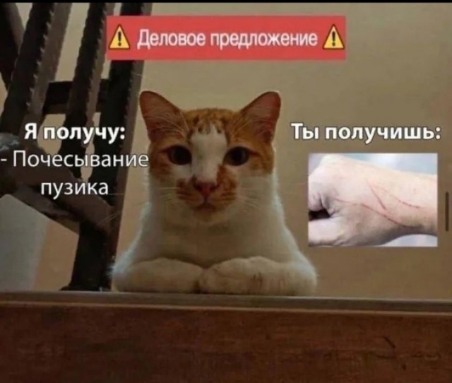 Давно не было....