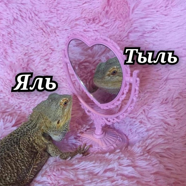 Субботние картинки