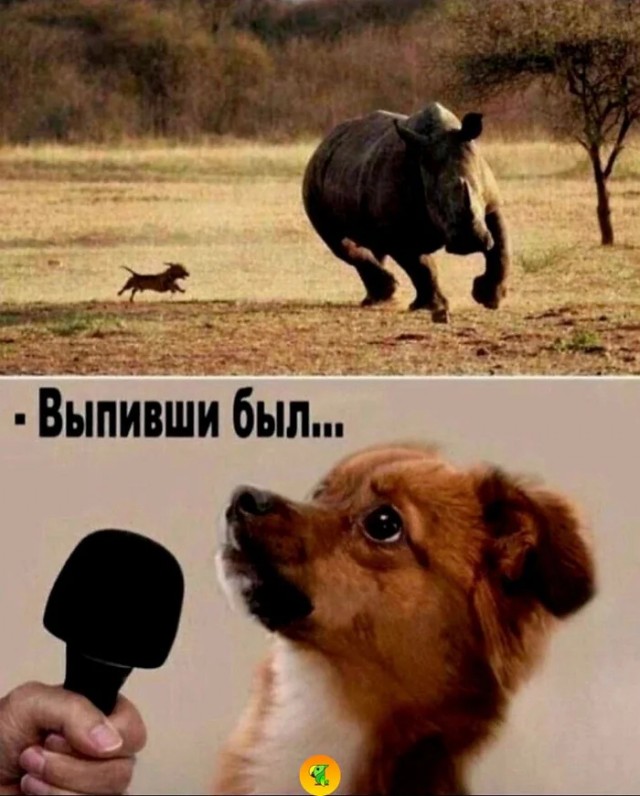 Ты на физику не смотри, он духом сильный