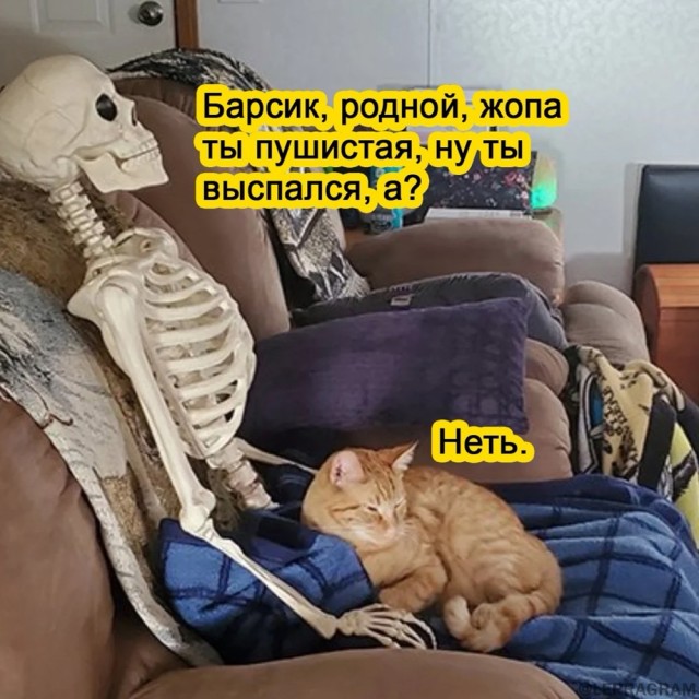 Комочек хочет на ручки