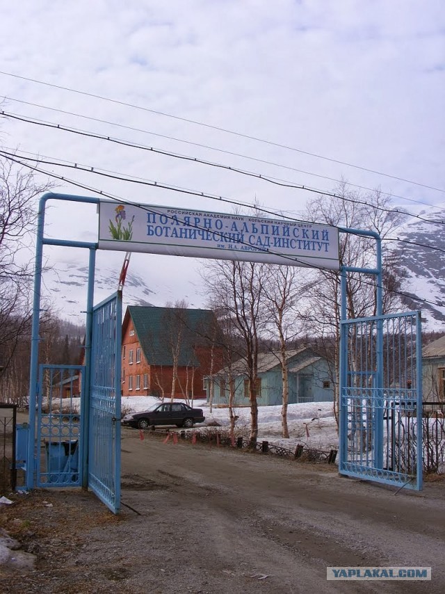 Разноцветный мир - опасен. Город Кировск