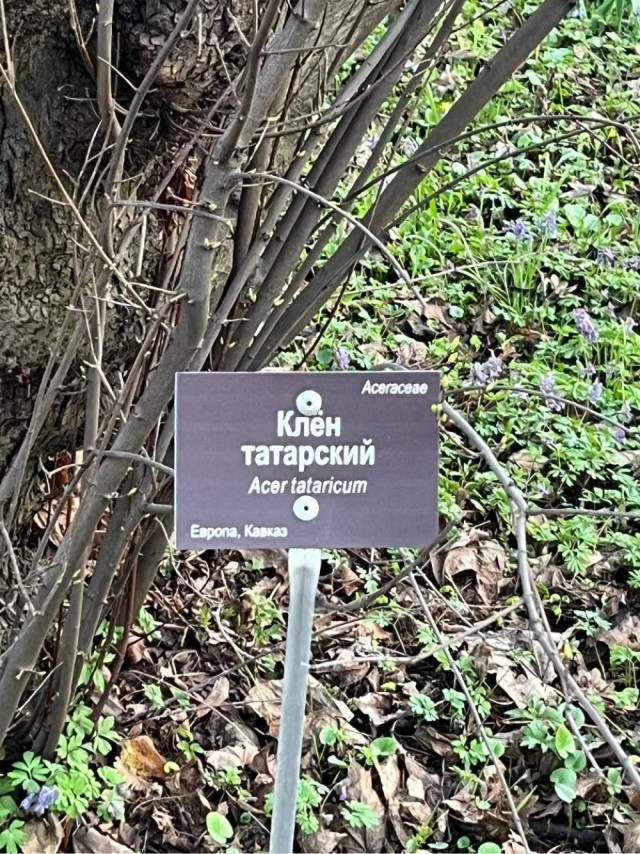 Кто ты сегодня?