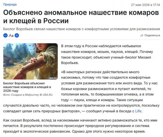 Жуткое нашествие комаров и мошек в четырёх регионах России