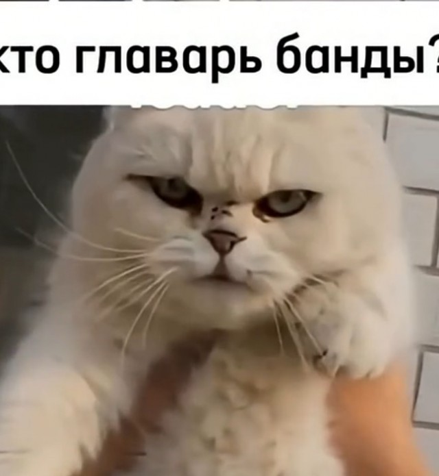 Бандиты