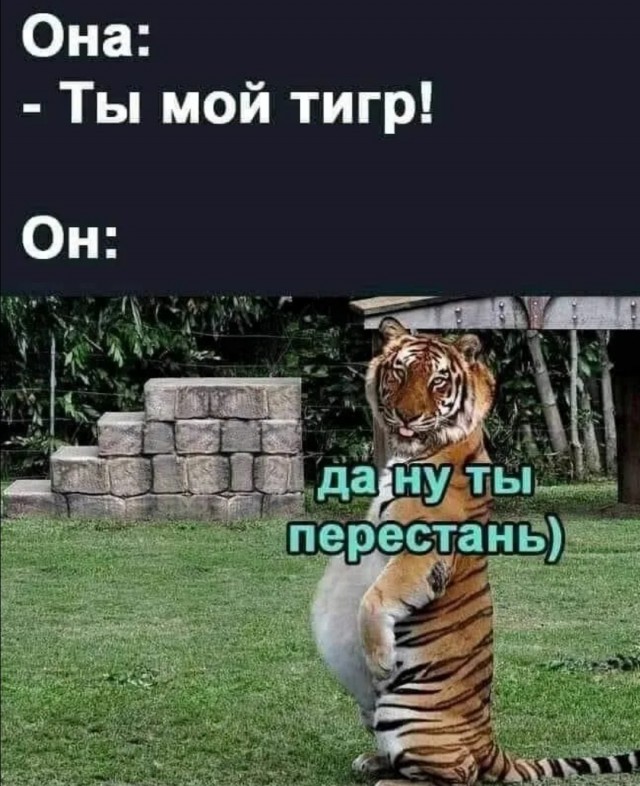 Тигрица