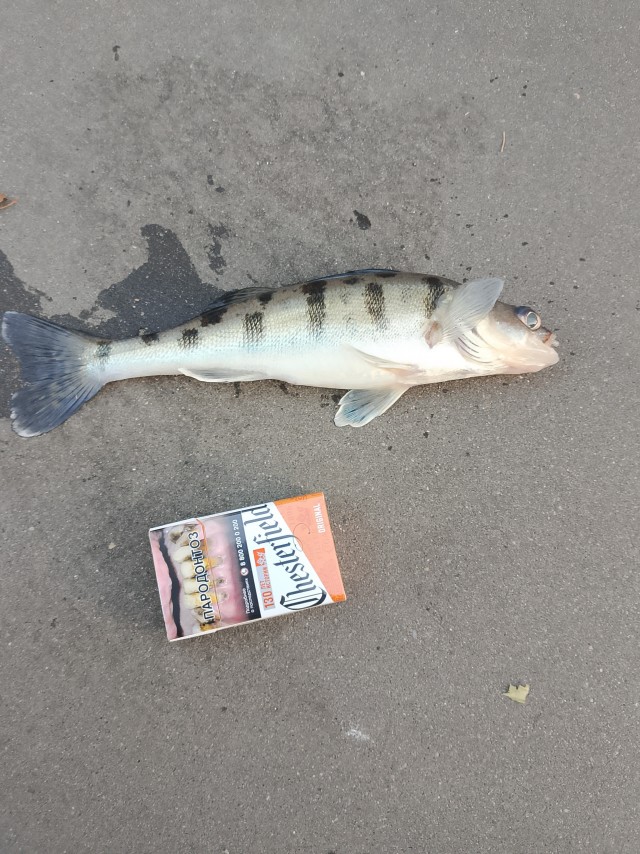 И опять про рыбалку