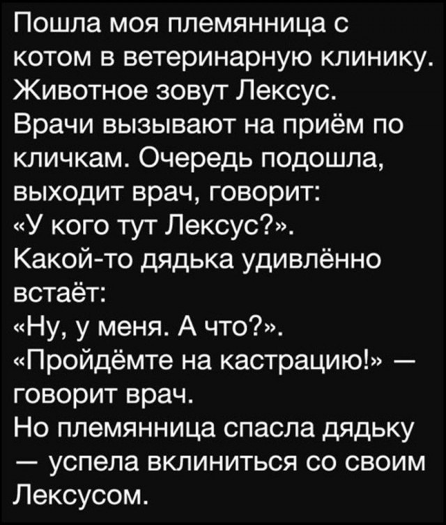 Так себе картинки 03.10.26
