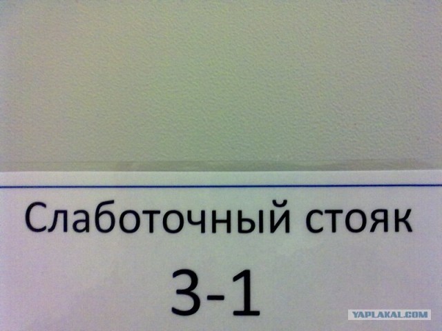 Что мы видим вокруг себя