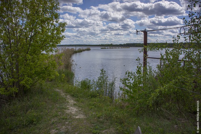 Рыбная ферма в Чернобыле