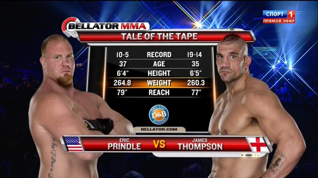 БОКС/MMA....